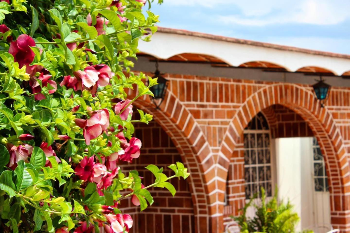 Mama Chuy Hotel & Villas San Juan Cosalá 외부 사진