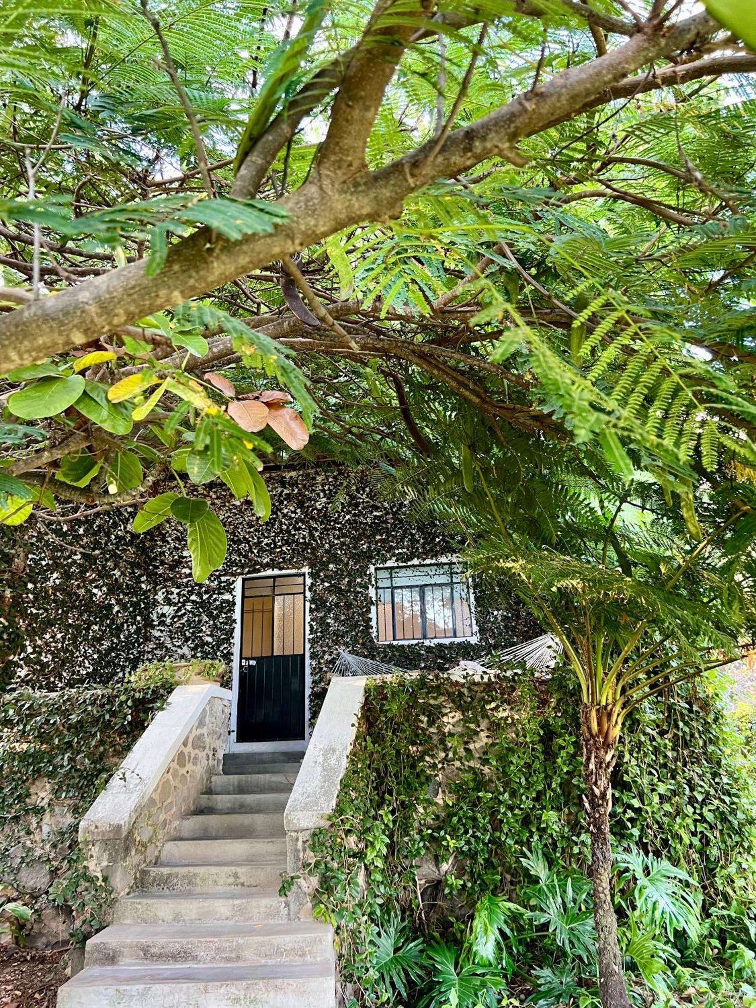 Mama Chuy Hotel & Villas San Juan Cosalá 외부 사진